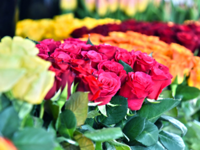 How to Cultivate Luxury and Better Self-Care in Your Life